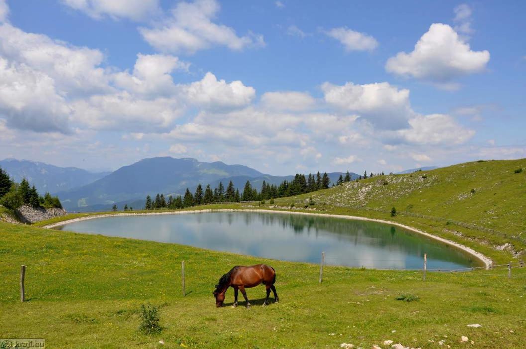 Entire Loft Close To Beautiful Logar Valley Recica ob Savinji Экстерьер фото